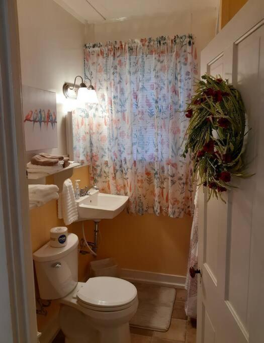 #05 - Lakefront Two Bedroom Cottage- Pet Friendly Hot Springs Bagian luar foto